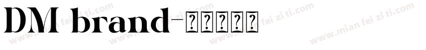 DM brand字体转换